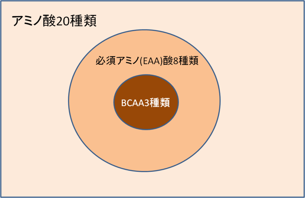20種類のアミノ酸とEAA(8種類)、BCAA(3種類)の関係
